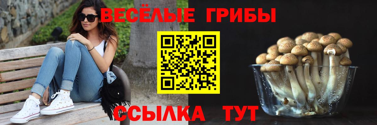 Псилоцибиновые грибы ЛСД  цена наркотик  Набережные Челны  Вход с VPN 
